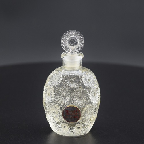 Bottiglia profumo rene - bottiglia,