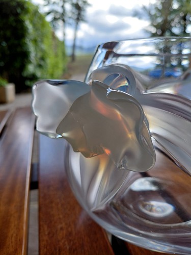 Lalique francia vaso cristallo - francia,